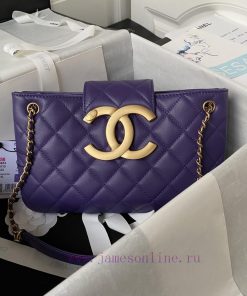 Chanel Bag Chanel 24C Early Spring Vacation Collection AS4603 Retro Metal Large Logo with a t5q8r6nf