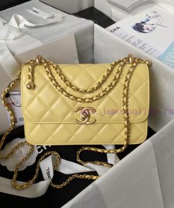 Chanel Bag Chanel 24C Double Small Gold Ball AS2649 ️ Professional goal team walked in and o lnr2l0qv