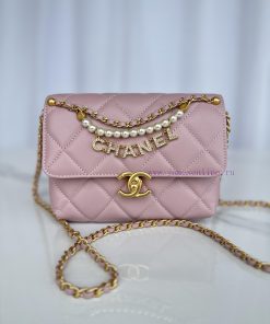 Chanel Bag Brand Chanel model AS4986 Introduction: Original quality, classic work, at the fo f79zrgac