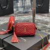 Yves Saint Laurent Bags Red gold buckle_Top class imported cowhide camera bag, ZP open mold printing, to be identica n065hyla