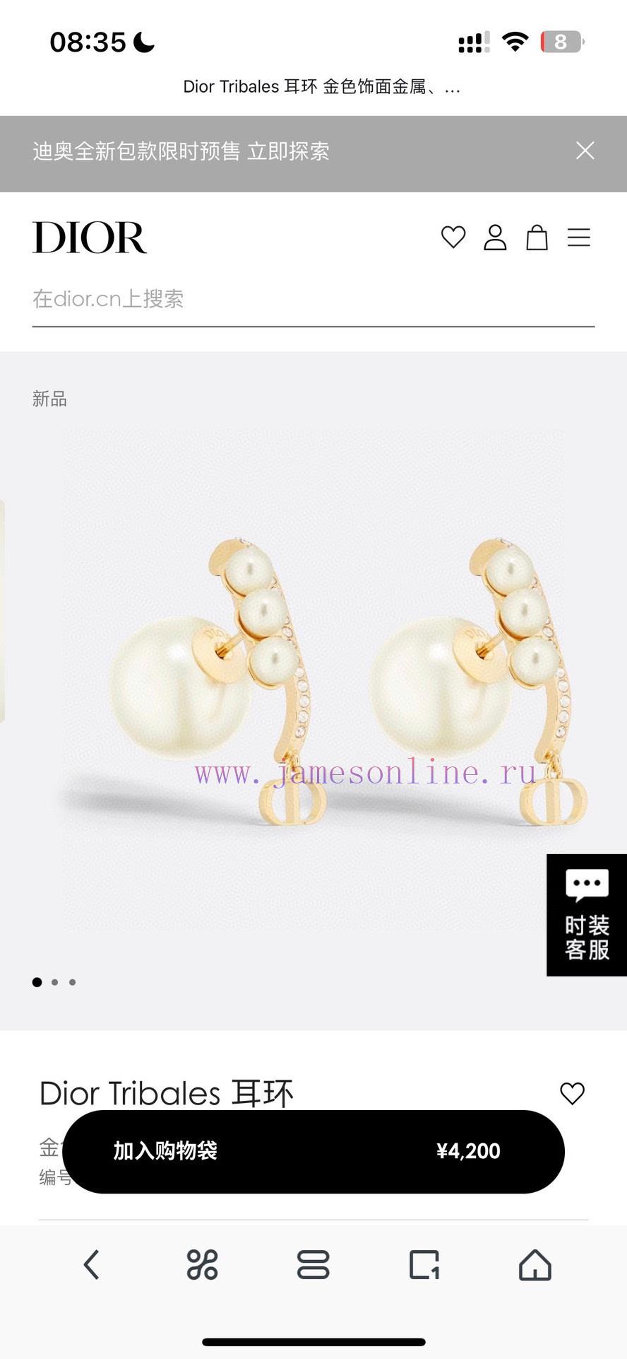 Dior's New Collection Beloved By Top Tier Brands Features Letter Earrings With A Metallic Textu yq3i3w1y - Image 3