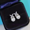 New Tiffany Earrings Made Of Silver Needle And Sub Gold Material With Logo Breathtakingly Beaut pw7y1vd9