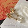 CHANEL Red Diamond Mountain Camellia Water Drop Pearl Earrings Extremely Expensive 24s Spring/S 0bensp77