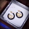 New Product Original Order New DIOR Drip Oil Earrings Consistent Brass Material Super TextureUp 0kru04ws