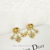Today's New Code E22DIOR Earrings Are Hot Selling And Newly ReleasedDior CD Fan-shaped Clover E 12nsre5w