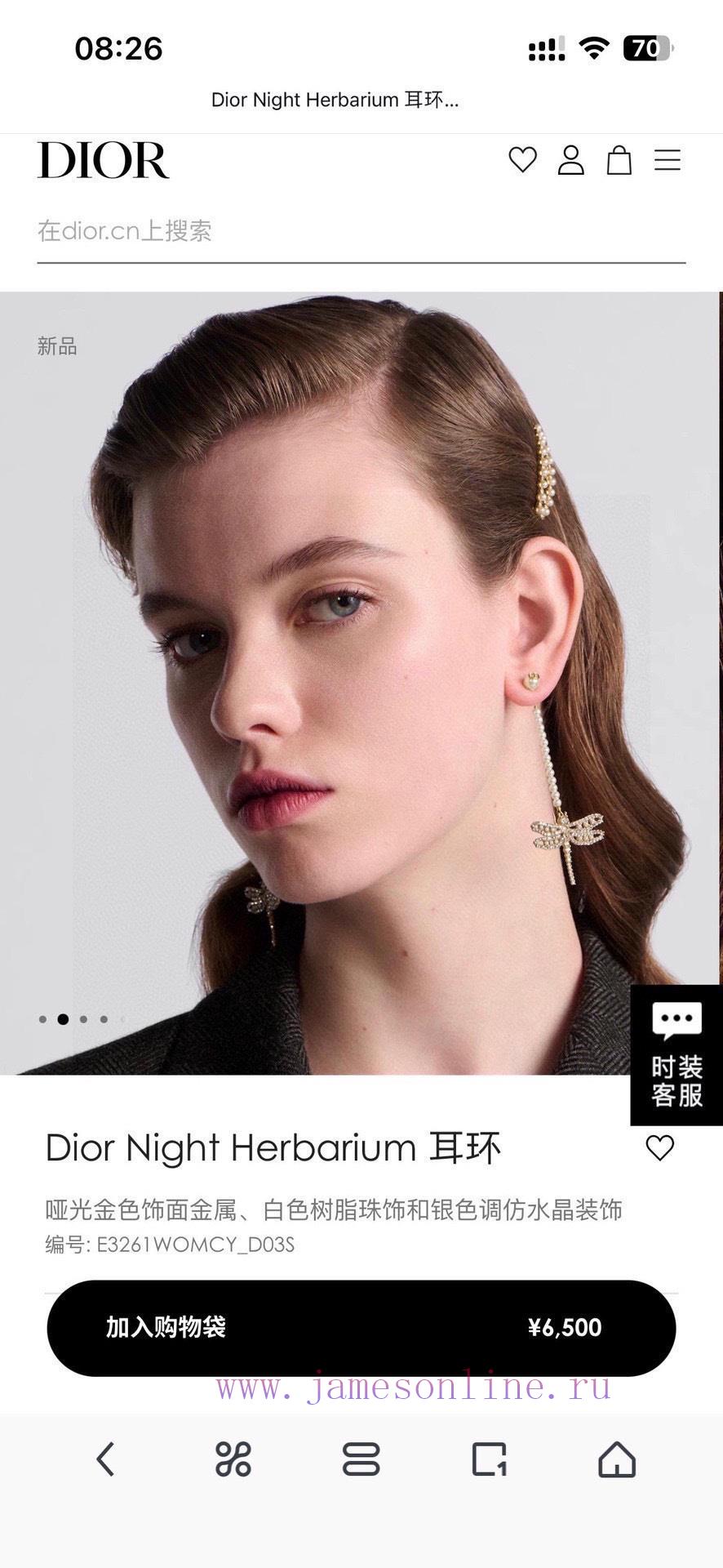 Dior's New Products Which Are Loved By Top Tier Brands Are Dragonfly Earrings With A Metallic T p6xv1o8u - Image 3